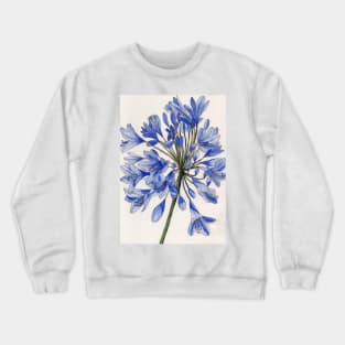 Agapanthus flower watercolour painting Crewneck Sweatshirt